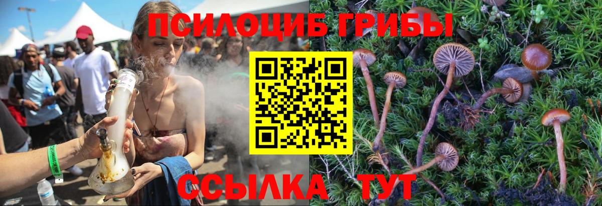 Псилоцибиновые грибы Psilocybine cubensis Ишимбай